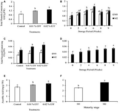 Mechanism of enhanced freshness formulation in optimizing antioxidant retention of gold kiwifruit (Actinidia chinensis) harvested at two maturity stages